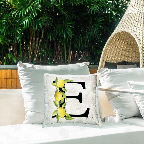 Stupell Industries Creatif Belle | E With Lemon Letter Printed Throw Pillow