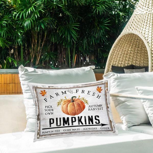 Stupell Industries Creatif Belle | Farm Fresh Pumpkin