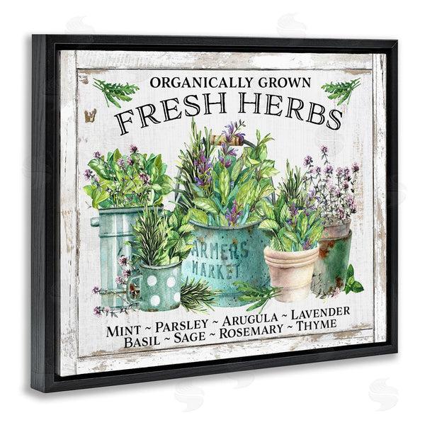 Stupell Industries Creatif Belle | Organic Fresh Herbs