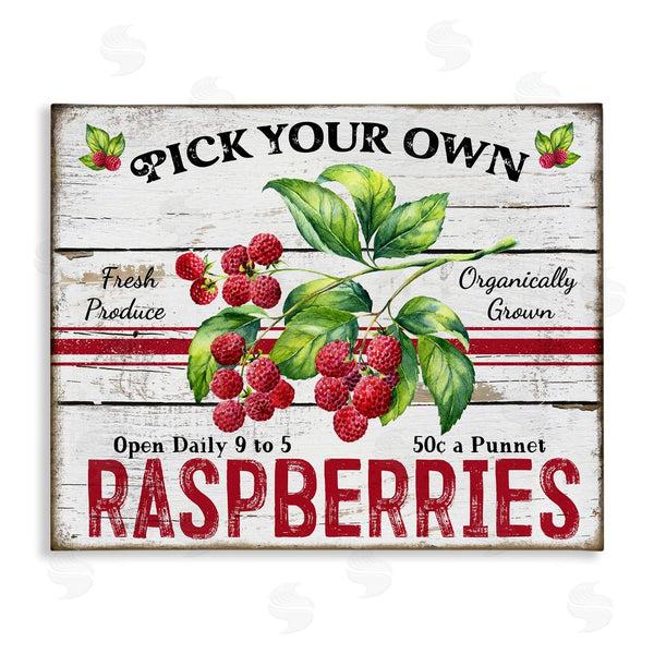 stupell industries Creatif Belle | Pick Your Own Raspberries