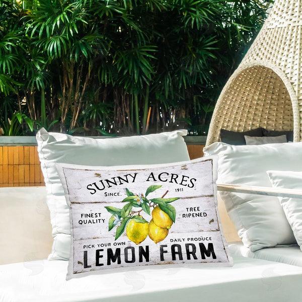 Stupell Industries Creatif Belle | Sunny Acres Lemon Farm
