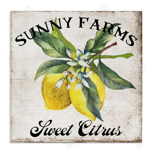 stupell industries Creatif Belle | Sunny Farms Sweet Lemon