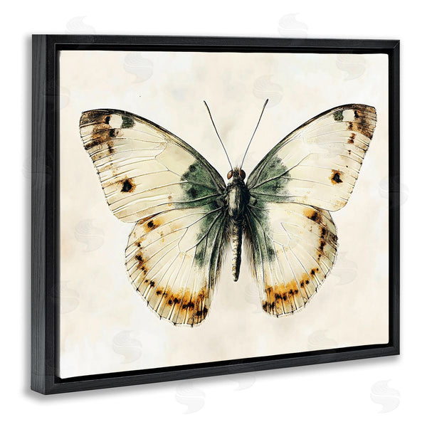 Stupell Industries Creative Studio | Moth Study Symmetry
