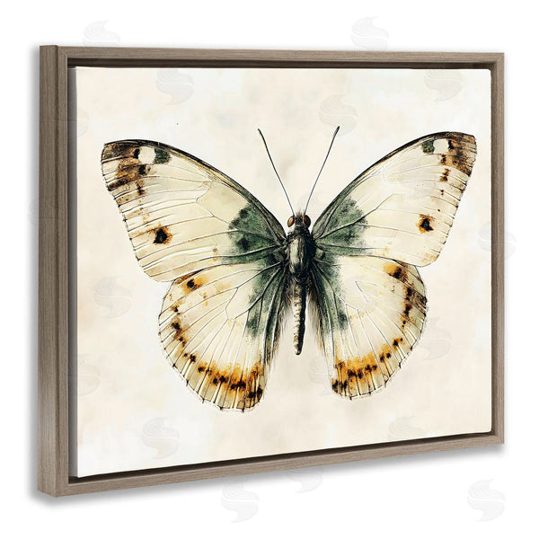 Stupell Industries Creative Studio | Moth Study Symmetry