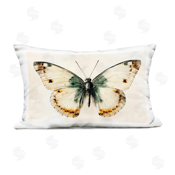 Stupell Industries Creative Studio | Moth Study Symmetry Printed Throw Pillow