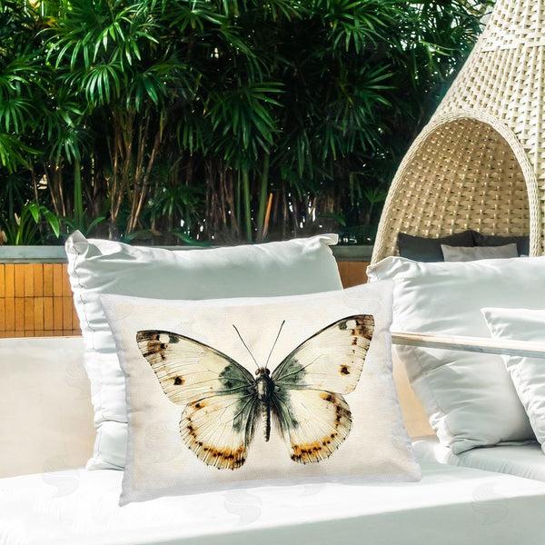 Stupell Industries Creative Studio | Moth Study Symmetry Printed Throw Pillow