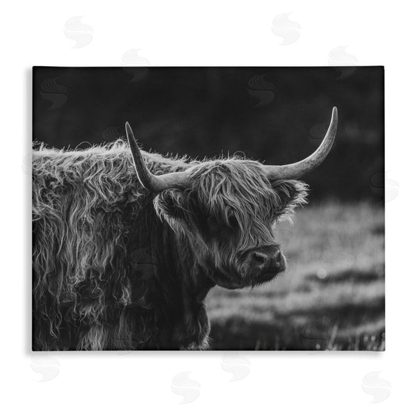 stupell industries Crystal Lynn Collins | Bold Scottish Highland