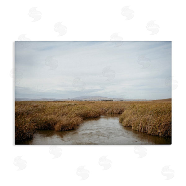 stupell industries Crystal Lynn Collins | Marshland Stream View