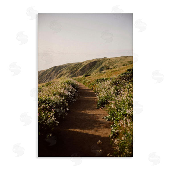 stupell industries Crystal Lynn Collins | Path by Beach Coast