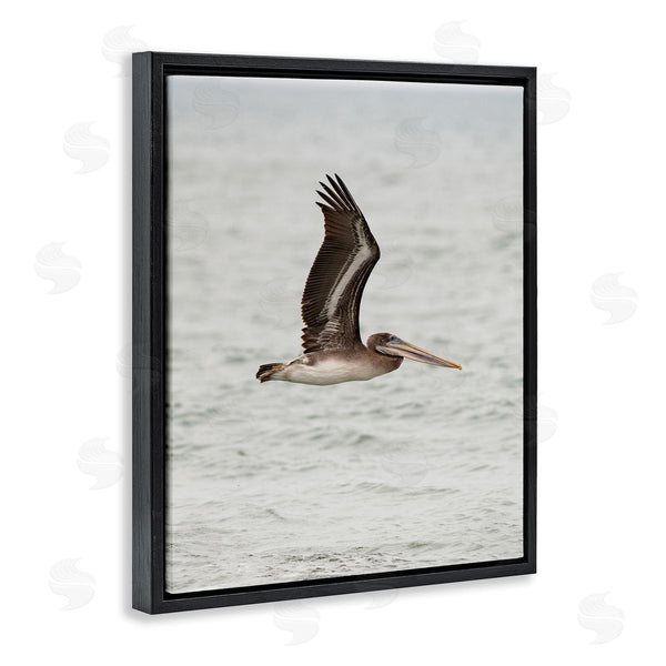 Stupell Industries Crystal Lynn Collins | Pelican Over Sea