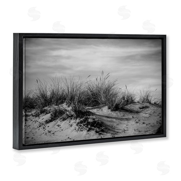 Stupell Industries Crystal Lynn Collins | Point Reyes Beach Dunes