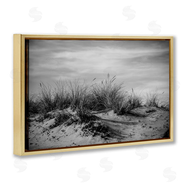 Stupell Industries Crystal Lynn Collins | Point Reyes Beach Dunes