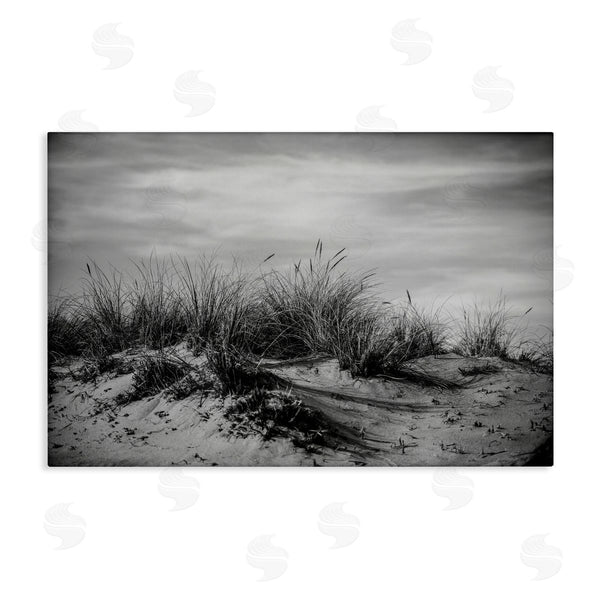 stupell industries Crystal Lynn Collins | Point Reyes Beach Dunes