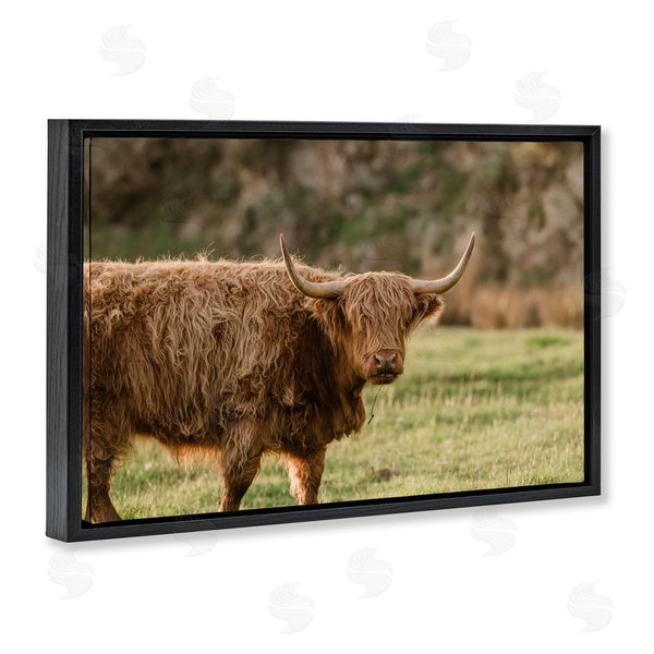 Stupell Industries Crystal Lynn Collins | Scottish Highland Grazing