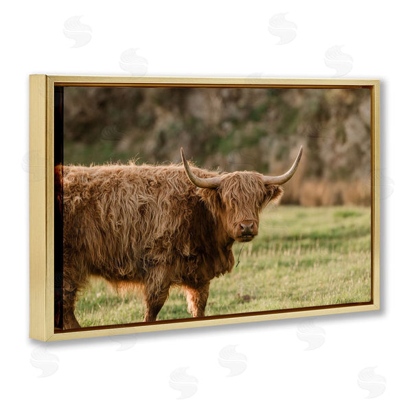 Stupell Industries Crystal Lynn Collins | Scottish Highland Grazing