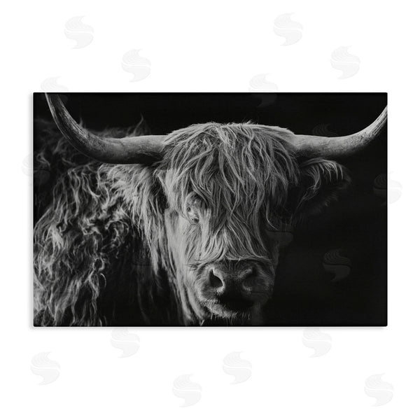 stupell industries Crystal Lynn Collins | Scottish Highland Portrait