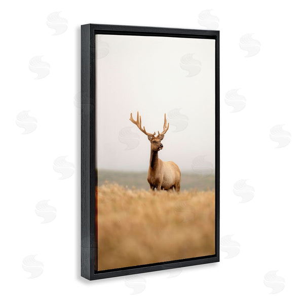 Stupell Industries Crystal Lynn Collins | Stoic Tule Elk