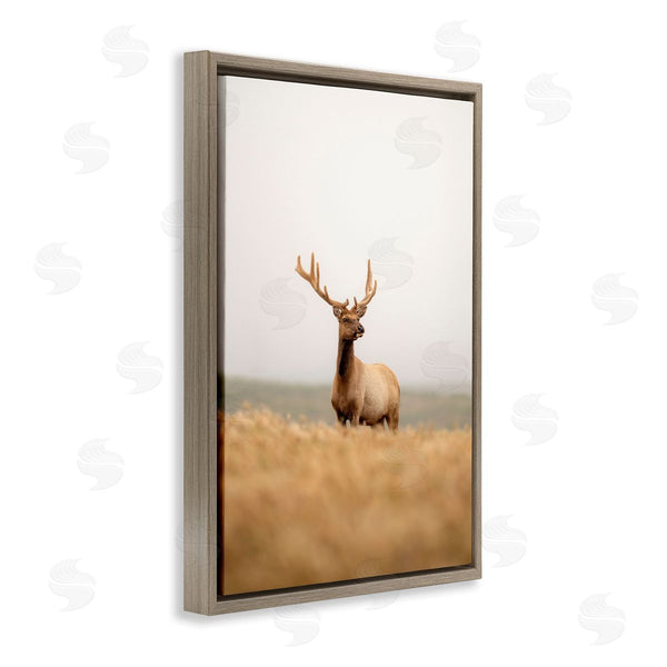 Stupell Industries Crystal Lynn Collins | Stoic Tule Elk