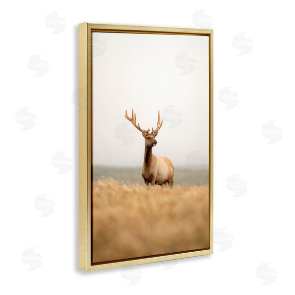 Stupell Industries Crystal Lynn Collins | Stoic Tule Elk