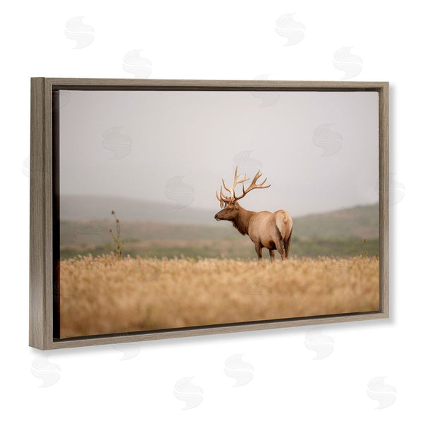 Stupell Industries Crystal Lynn Collins | Tule Elk Photography