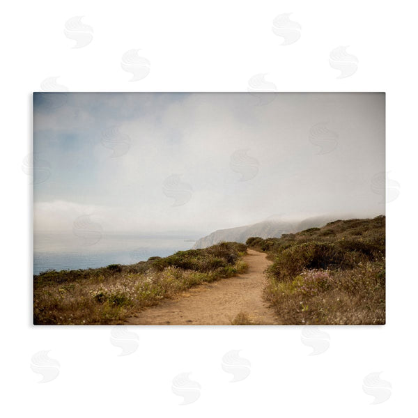 stupell industries Crystal Lynn Collins | Wild Coast Pathway