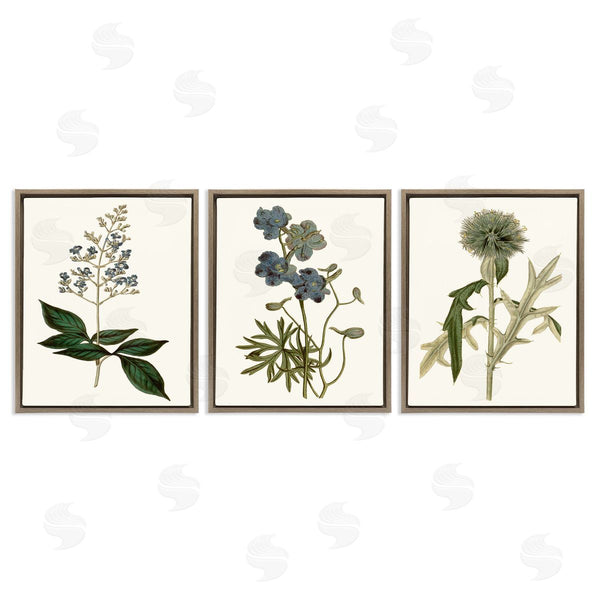 Stupell Industries Curtis | Vintage Botanical Flowers On Beige