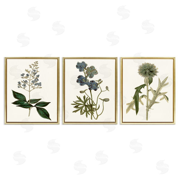 Stupell Industries Curtis | Vintage Botanical Flowers On Beige