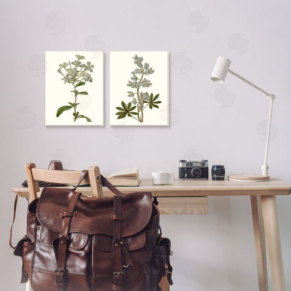 Stupell Industries Curtis | Vintage Illustrated Study Of Blue Botanicals Wall Art