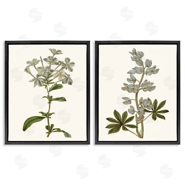 Stupell Industries Curtis | Vintage Illustrated Study Of Blue Botanicals Wall Art