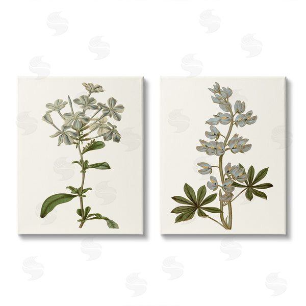 stupell industries Curtis | Vintage Illustrated Study of Blue Botanicals Wall Art