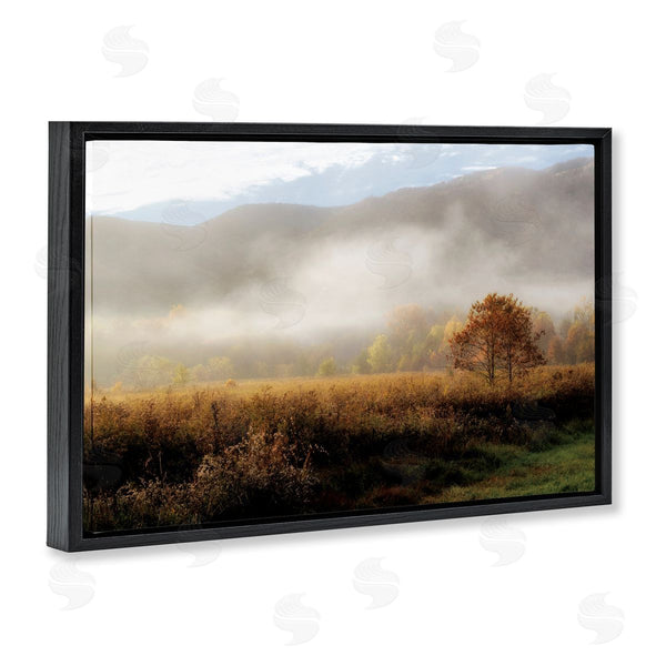 Stupell Industries D. Burt | Lifting Fog Over Nature Wall Art