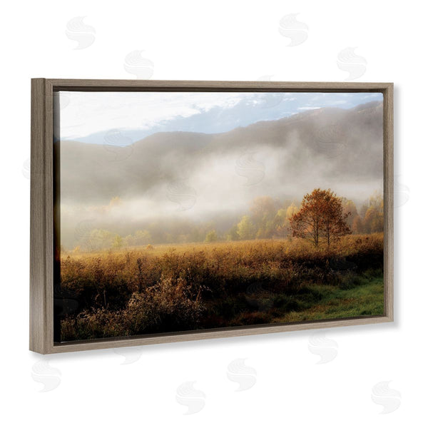 Stupell Industries D. Burt | Lifting Fog Over Nature Wall Art