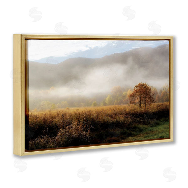 Stupell Industries D. Burt | Lifting Fog Over Nature Wall Art