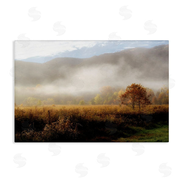 stupell industries D. Burt | Lifting Fog over Nature Wall Art