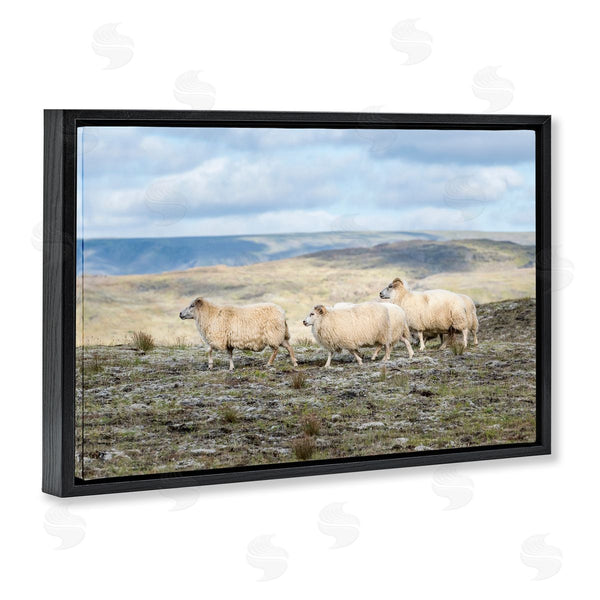 Stupell Industries D. Burt | Three Friends Sheep In Nature Wall Art