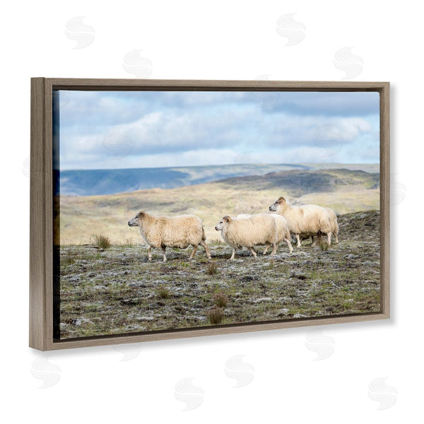 Stupell Industries D. Burt | Three Friends Sheep In Nature Wall Art