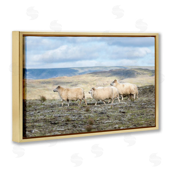 Stupell Industries D. Burt | Three Friends Sheep In Nature Wall Art