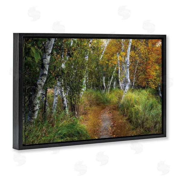 Stupell Industries D. Burt | Walk In The Hemlocks Forest Wall Art