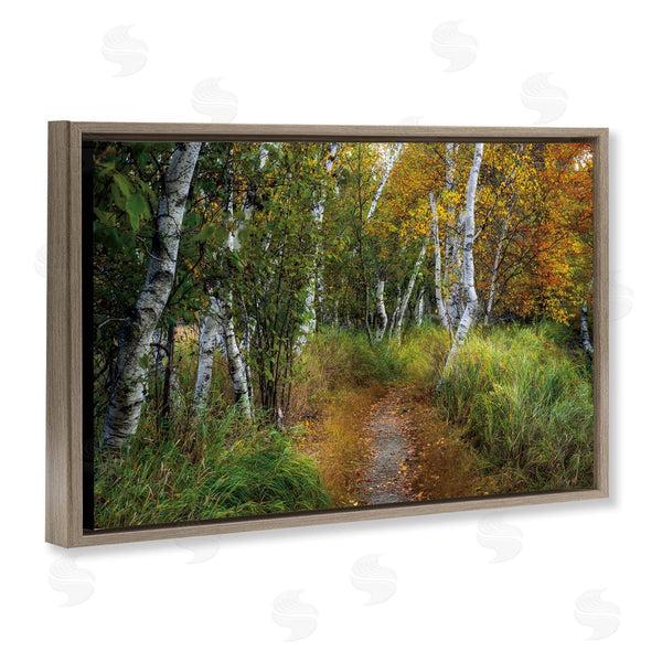 Stupell Industries D. Burt | Walk In The Hemlocks Forest Wall Art