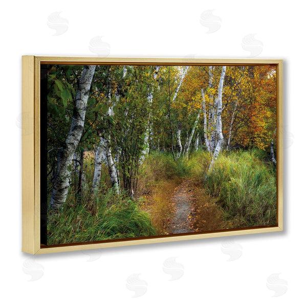 Stupell Industries D. Burt | Walk In The Hemlocks Forest Wall Art
