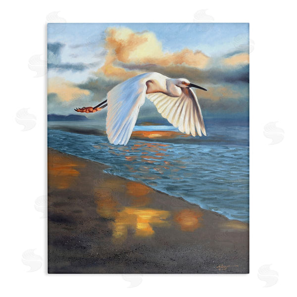 stupell industries D. Rust | Egret Wingspan over Beach Wall Art