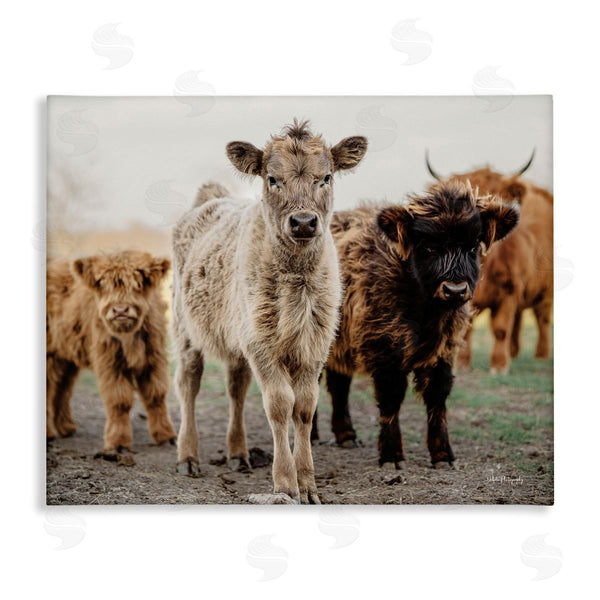 stupell industries Dakota Diener | Baby Calves on Farm Wall Art