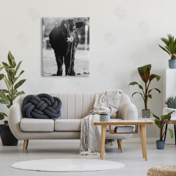 Stupell Industries Dakota Diener | Baby Cattle Calf Grazing Rural Farm Photography Wall Art