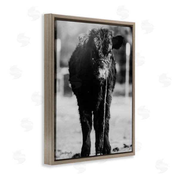Stupell Industries Dakota Diener | Baby Cattle Calf Grazing Rural Farm Photography Wall Art