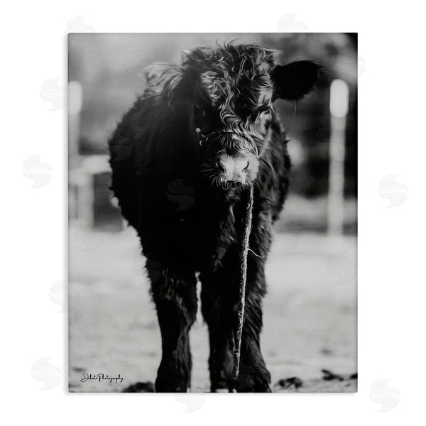 stupell industries Dakota Diener | Baby Cattle Calf Grazing Rural Farm Photography Wall Art