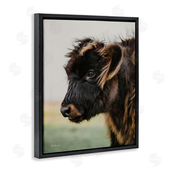 Stupell Industries Dakota Diener | Baby Cow Photography Wall Art
