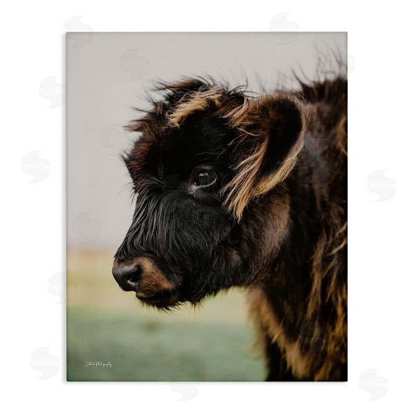 stupell industries Dakota Diener | Baby Cow Photography Wall Art