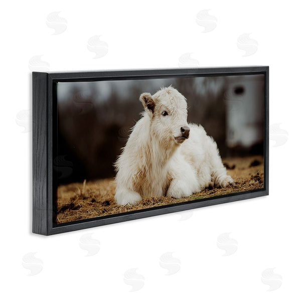 Stupell Industries Dakota Diener | Baby White Cattle Wall Art