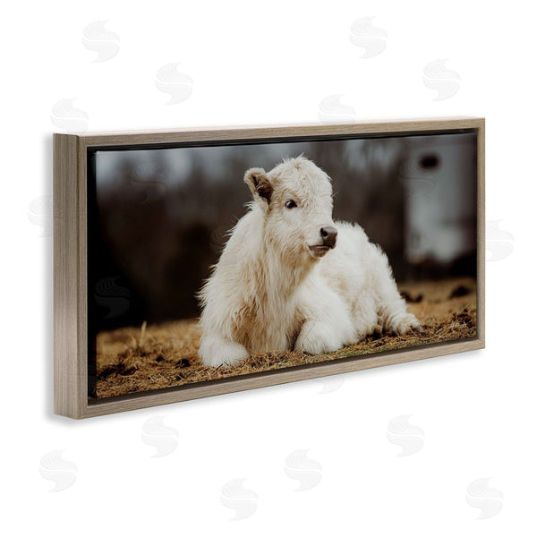 Stupell Industries Dakota Diener | Baby White Cattle Wall Art