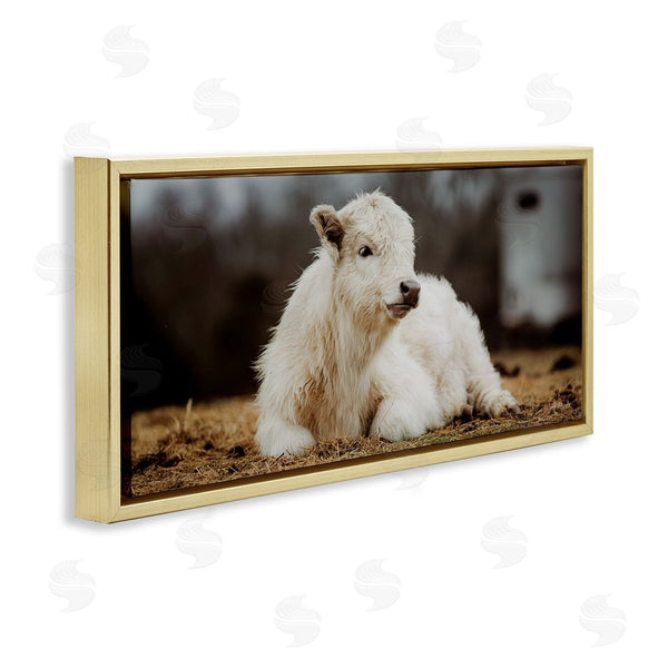 Stupell Industries Dakota Diener | Baby White Cattle Wall Art